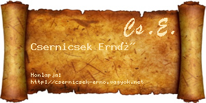 Csernicsek Ernő névjegykártya